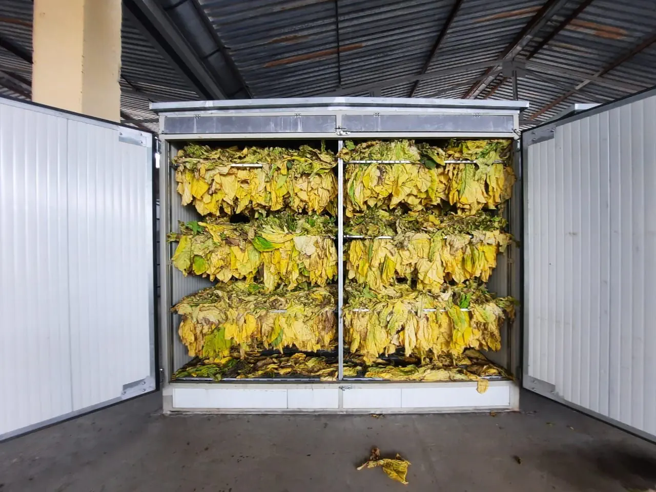 tobacco dryer